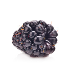 Blackberry isolated on white background