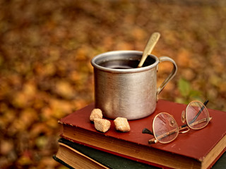 tea in a metal mug, a book in the autumn background
