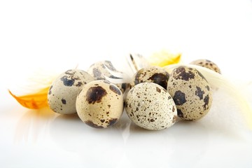 Obraz premium Group easter quail eggs on white tablecloth with feathers