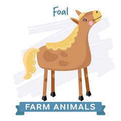 Foal isolated, raster illustration. Farm Animals Series. Cartoon style design. Single Animal on white background.