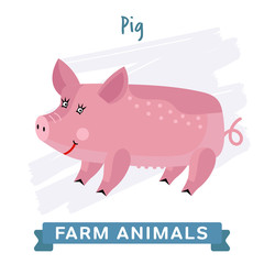 Pig isolated, raster illustration. Farm Animals Series. Cartoon style design. Single Animal on white background.