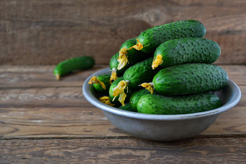 Fresh green cucumbers in a bowl, background