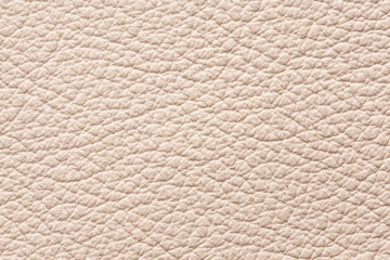Light leather texture