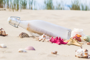 Colorful sea shells bottle background