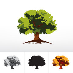 Green or monochrome oak tree