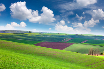 Colorful Landscape of spring fields background