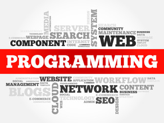 Programming word cloud, business concept