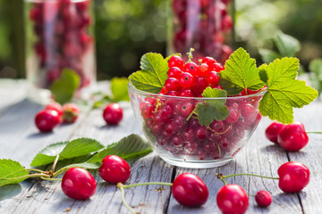 Freshly picked fruits currants cherries table
