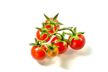 Tomatoes