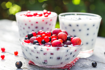 Spring garden cocktails fruit currants