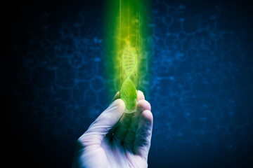 Science research test