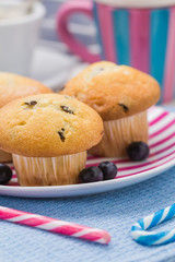 Sweet delicious muffins cranberries fruits