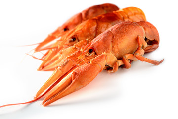 hree lobster on a white background