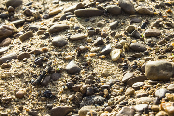 a lot of yellow sand mixed with stones