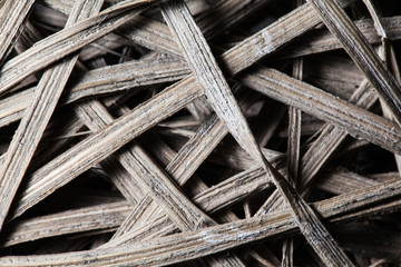 Wood texture background macro