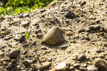 mound of sand with small stones