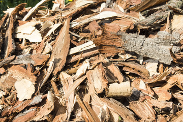 pile of bark of fruit trees