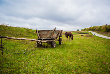 Fototapeta na wymiar Horse cart in Village