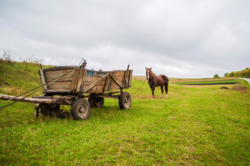 Fototapeta na wymiar Horse cart in Village