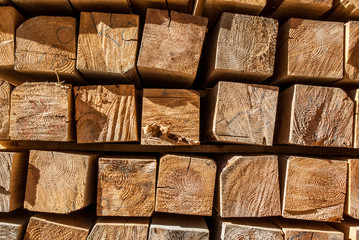 Wood natural background