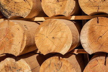 Wood background
