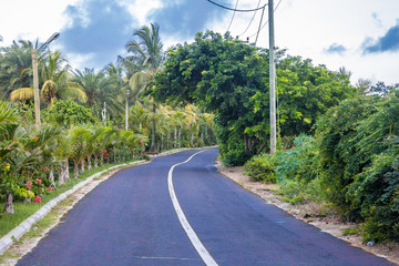 Fototapeta na wymiar Mauritius Strasse mit Palmen