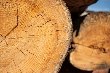 Naklejka premium Wood background