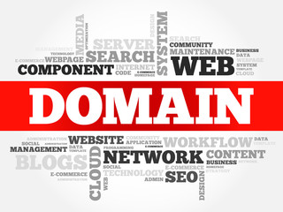 DOMAIN word cloud, business concept