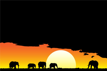 Fototapeta na wymiar Savannah sundown elephant silhouette