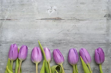 Photo sur Plexiglas Crocus Old grey wooden background with purple white tulips,snowdrop and crocus border in a row and empty copy space, spring summer decoration  