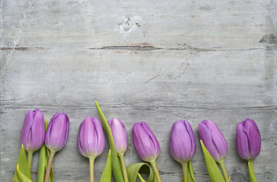 Old grey wooden background with purple white tulips,snowdrop and crocus border in a row and empty copy space, spring summer decoration
