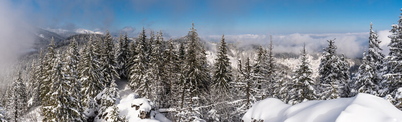 Widok z Gęsiej Szyi w Tatrach