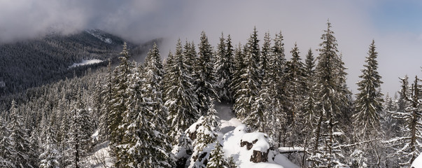 Widok z Gęsiej Szyi w Tatrach © kabat