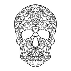 Skull coloring book for adults vector