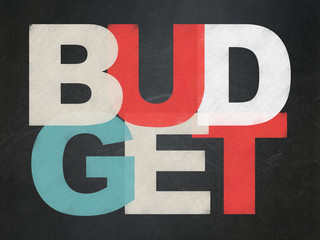 Fototapeta na wymiar Banking concept: Budget on School Board background