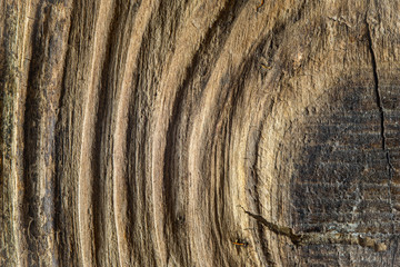 Textured wooden background