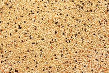 Amaranth Grains, for backgrounds or textures