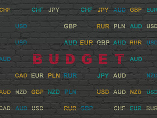 Banking concept: Budget on wall background