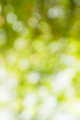 Obraz premium Blurred yellow lights circular bokeh abstract for Christmas bac