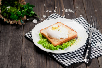 breakfast or lunch , poached egg and white toast , lettuce , herbs, salt and spices on a wooden background