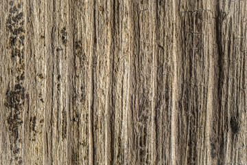 Natural wooden background horizontal