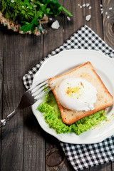 breakfast or lunch , poached egg and white toast , lettuce , herbs, salt and spices on a wooden background