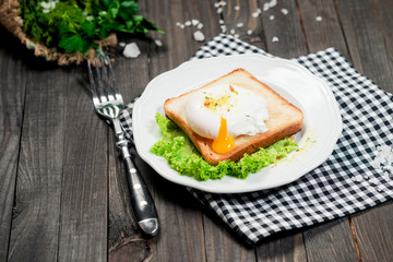 breakfast or lunch , poached egg and white toast , lettuce , herbs, salt and spices on a wooden background