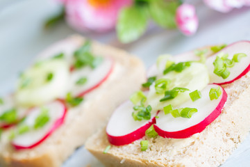 Picnic spring food sandwiches with raw radish and chives

