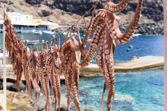 Octopus hung on a string in Oia, Santorini