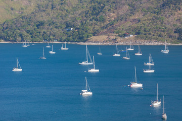 Group yacht sailing