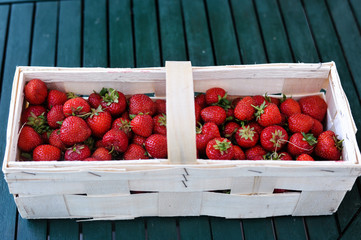 erdbeeren im körbchen