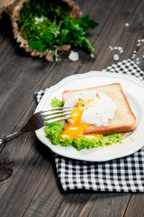 Fototapeta na wymiar breakfast or lunch , poached egg and white toast , lettuce , herbs, salt and spices on a wooden background