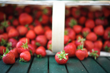 erdbeeren im körbchen