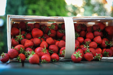 erdbeeren im körbchen